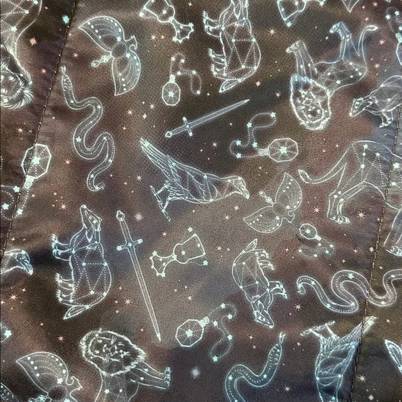 NWOT Harry Potter x Jujuebe Superbe Tote bag - Picture 6 of 6